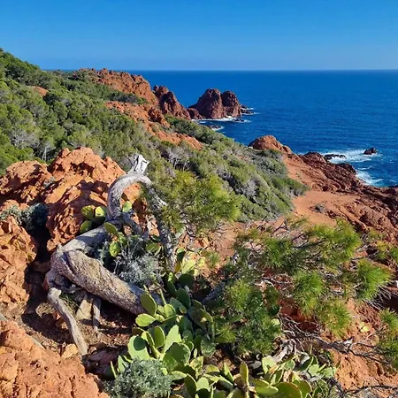 Le Jardin De L Esterel Fh007 -parking Couvert - Climatisation - Raphael * Saint-Raphaël