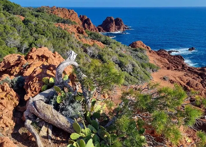 Le Jardin De L Estérel Fh007 -parking Couvert - Climatisation - Raphaël * Saint-Raphaël