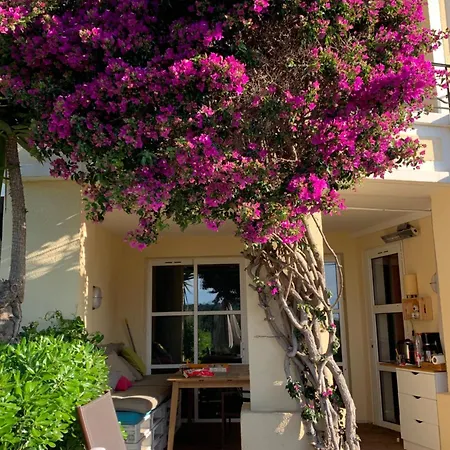 Le Jardin De L Esterel Fh007 -piscines -parking - Climatisation - Rez-dejardin -appartement En De Loisirs - Plages Διαμέρισμα