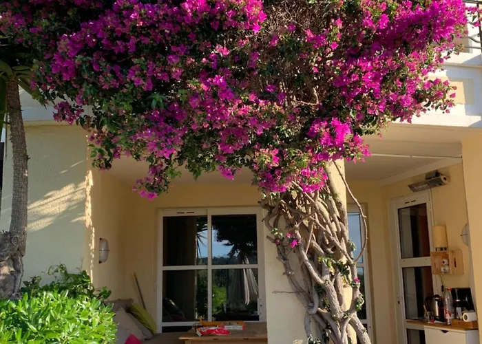 Le Jardin De L Esterel Fh007 -piscines -parking - Climatisation - Rez-dejardin -appartement En De Loisirs - Plages Apartman